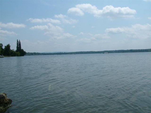 DSCF7354 (Medium)